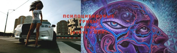стафф Алзамай