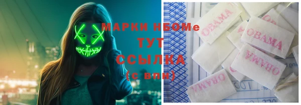 стафф Алзамай