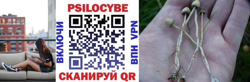 Галлюциногенные грибы ЛСД  где купить наркотик  Рыльск 